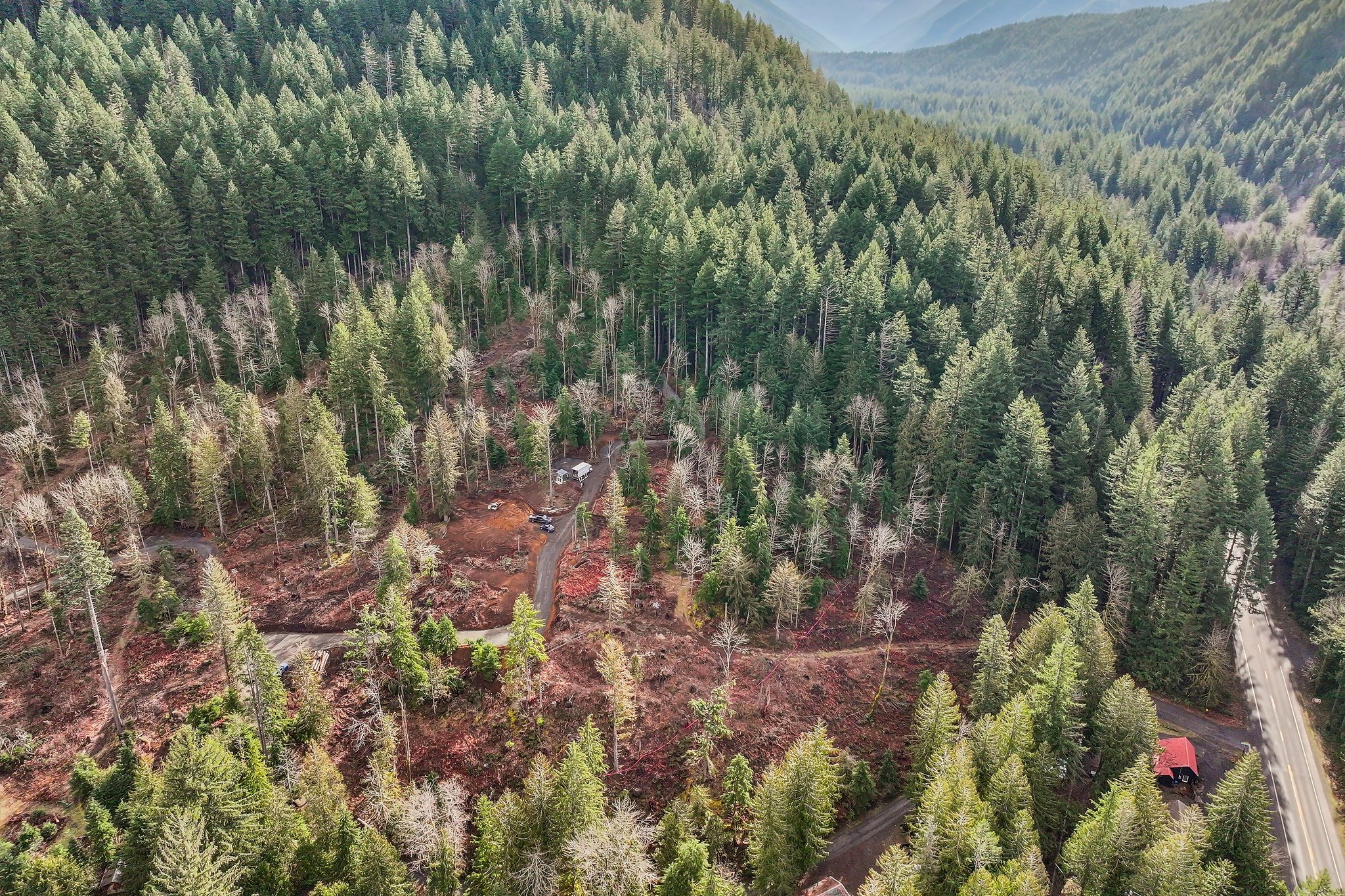 Belle Lake Rd Lot 2-S0902-004.jpg