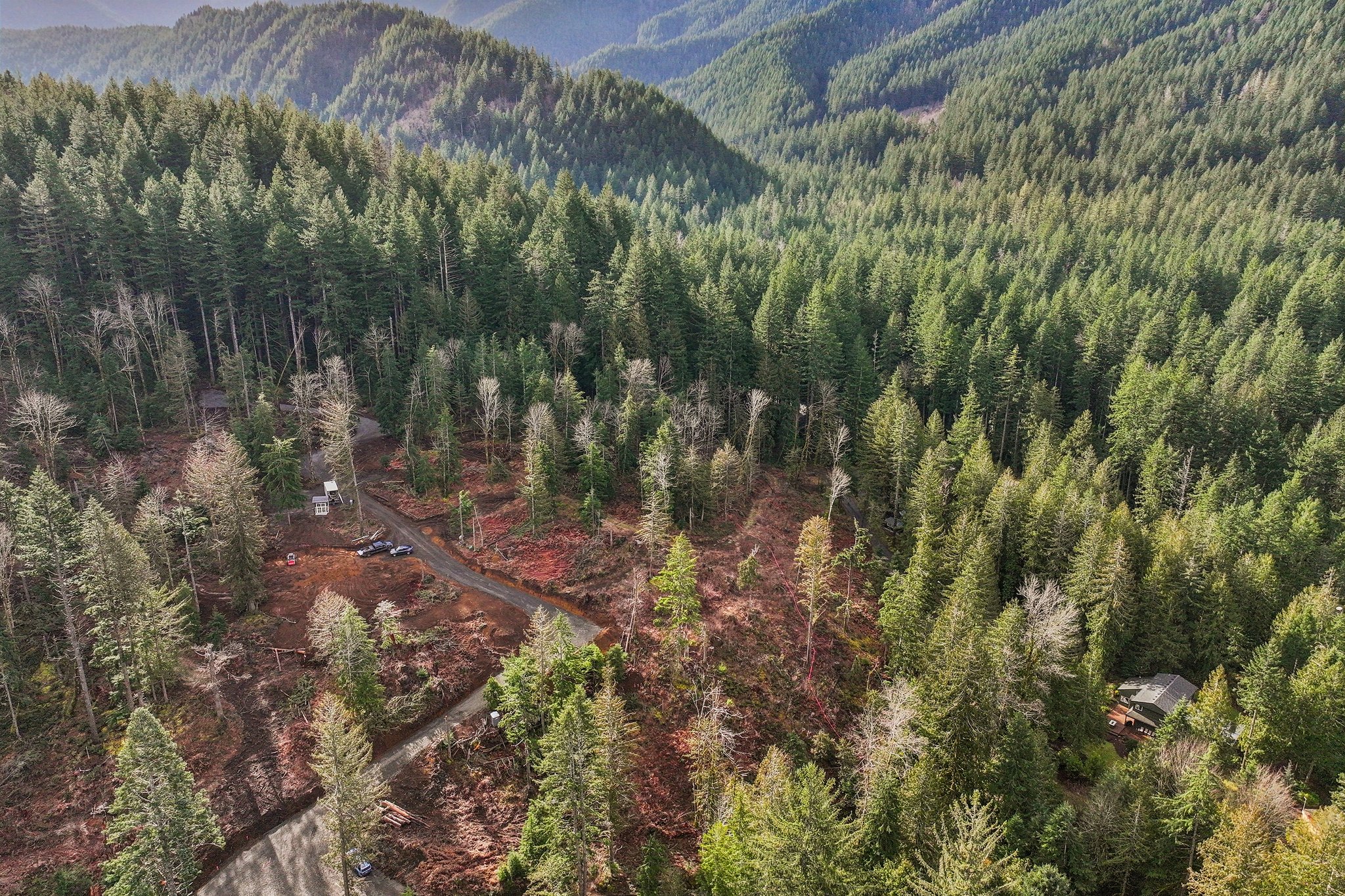 Belle Lake Rd Lot 2-S0902-007.jpg