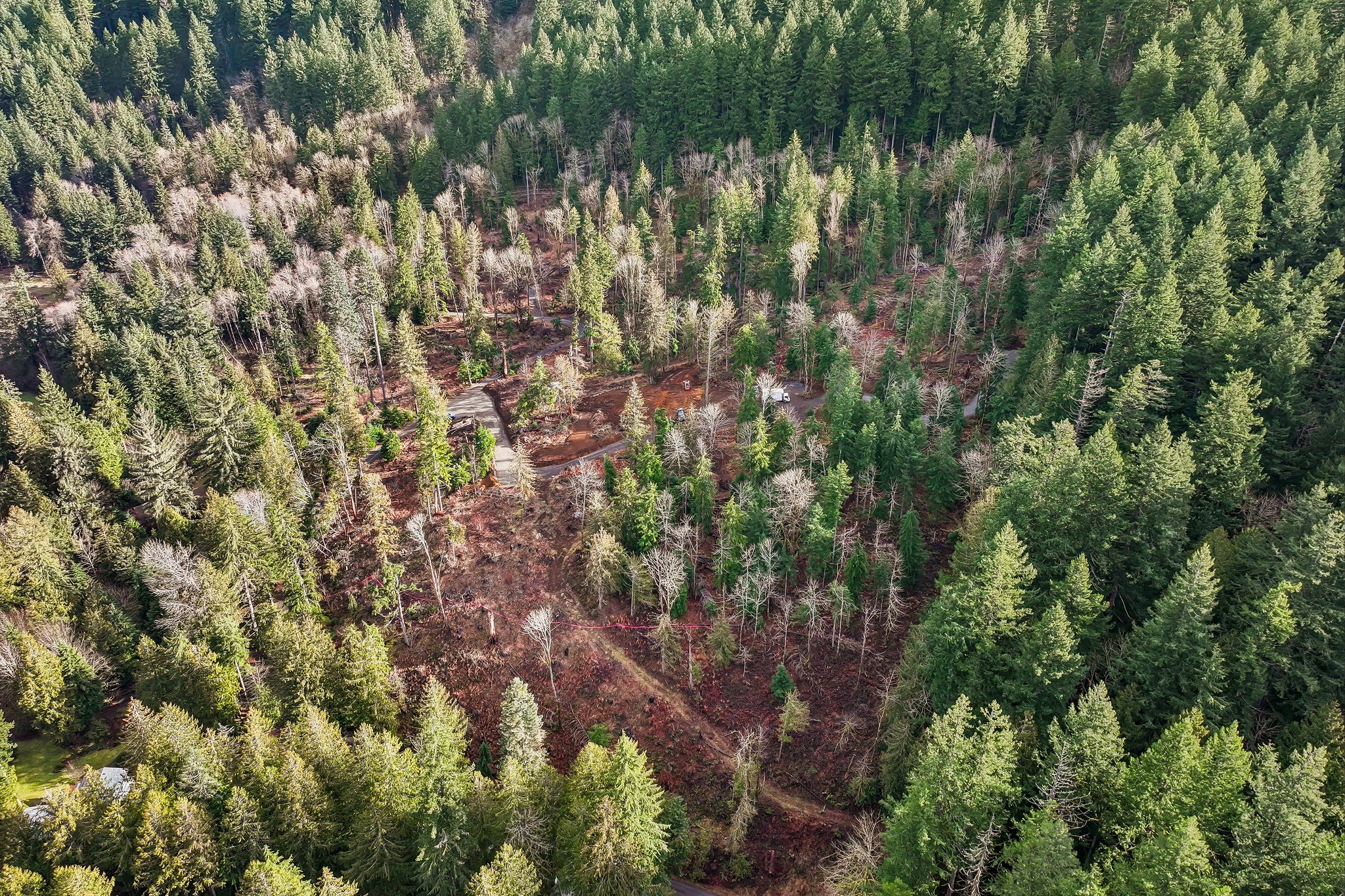 Belle Lake Rd Lot 2-S0902-008.jpg