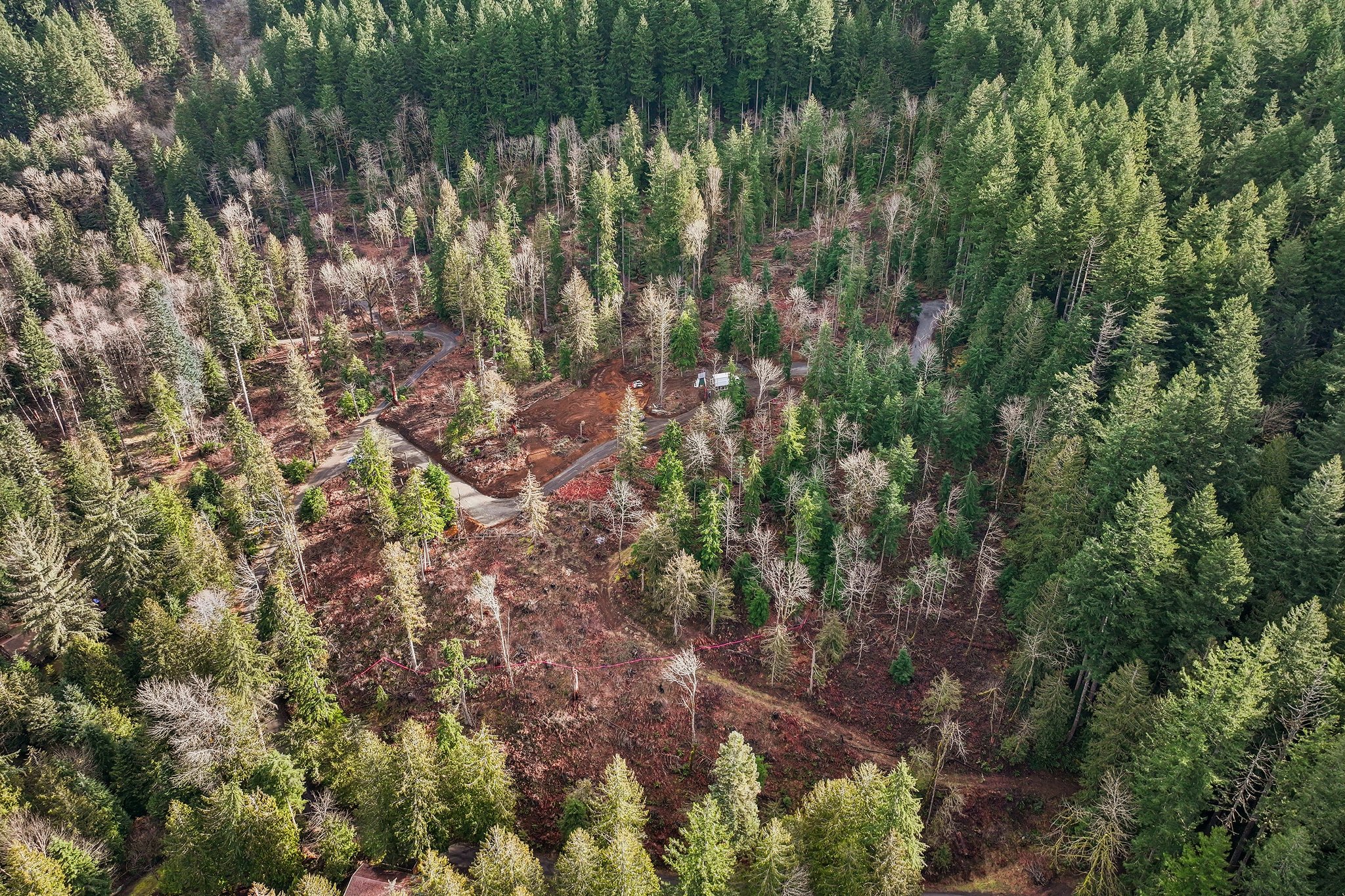 Belle Lake Rd Lot 2-S0902-009.jpg