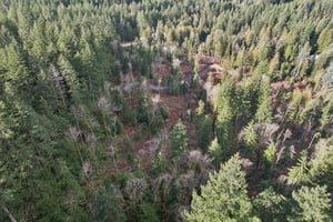 Belle Lake Rd Lot 3-S0902-001.jpg