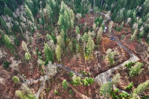 Belle Lake Rd Lot 1-S0902-006.jpg