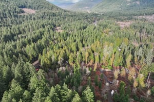 Belle Lake Rd Lot 123-S0902-001.jpg