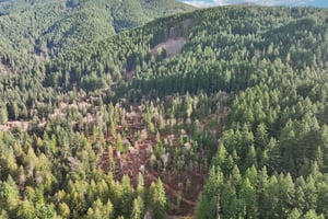 Belle Lake Rd Lot 123-S0902-002.jpg