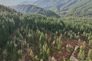 Belle Lake Rd Lot 123-S0902-004.jpg