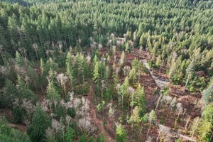 Belle Lake Rd Lot 123-S0902-005.jpg