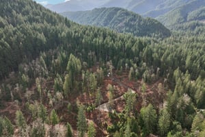 Belle Lake Rd Lot 123-S0902-006.jpg