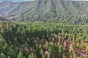 Belle Lake Rd Lot 123-S0902-007.jpg