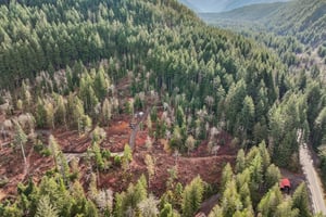 Belle Lake Rd Lot 2-S0902-004.jpg