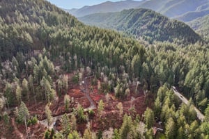 Belle Lake Rd Lot 2-S0902-005.jpg