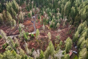 Belle Lake Rd Lot 2-S0902-006.jpg