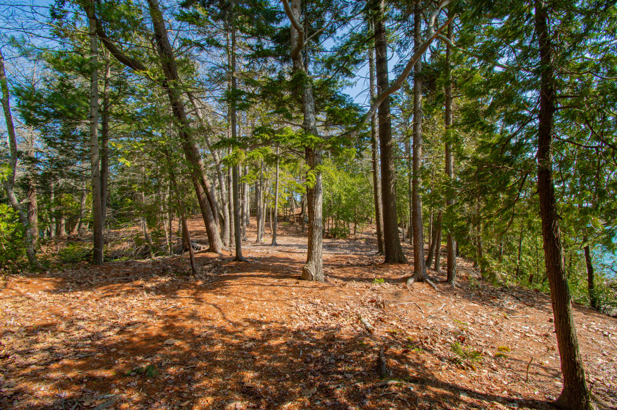 0BenIslandHarpswell-093