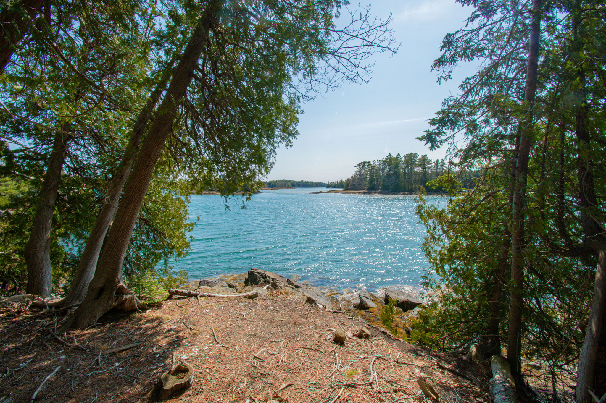0BenIslandHarpswell-100