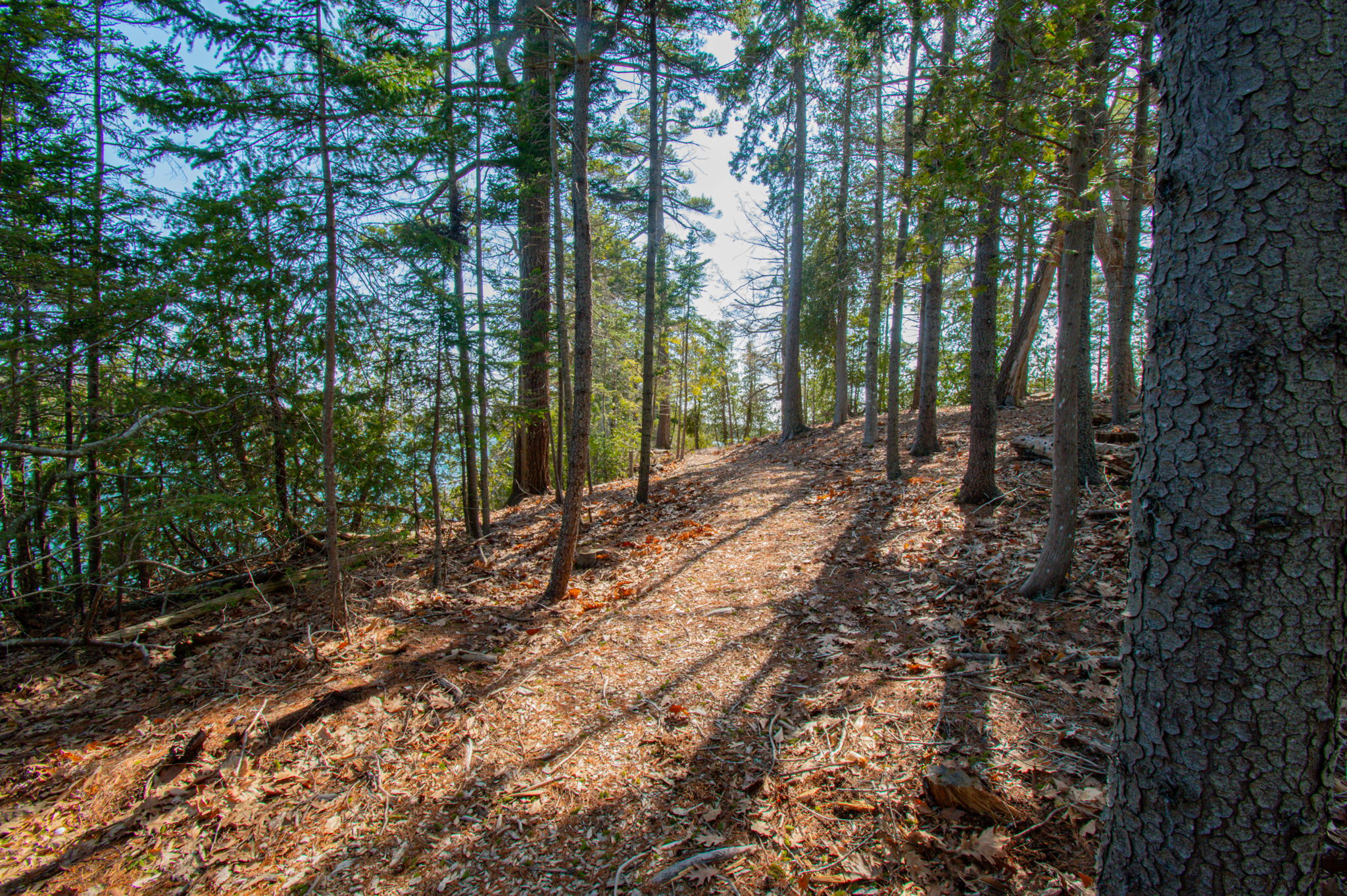 0BenIslandHarpswell-119