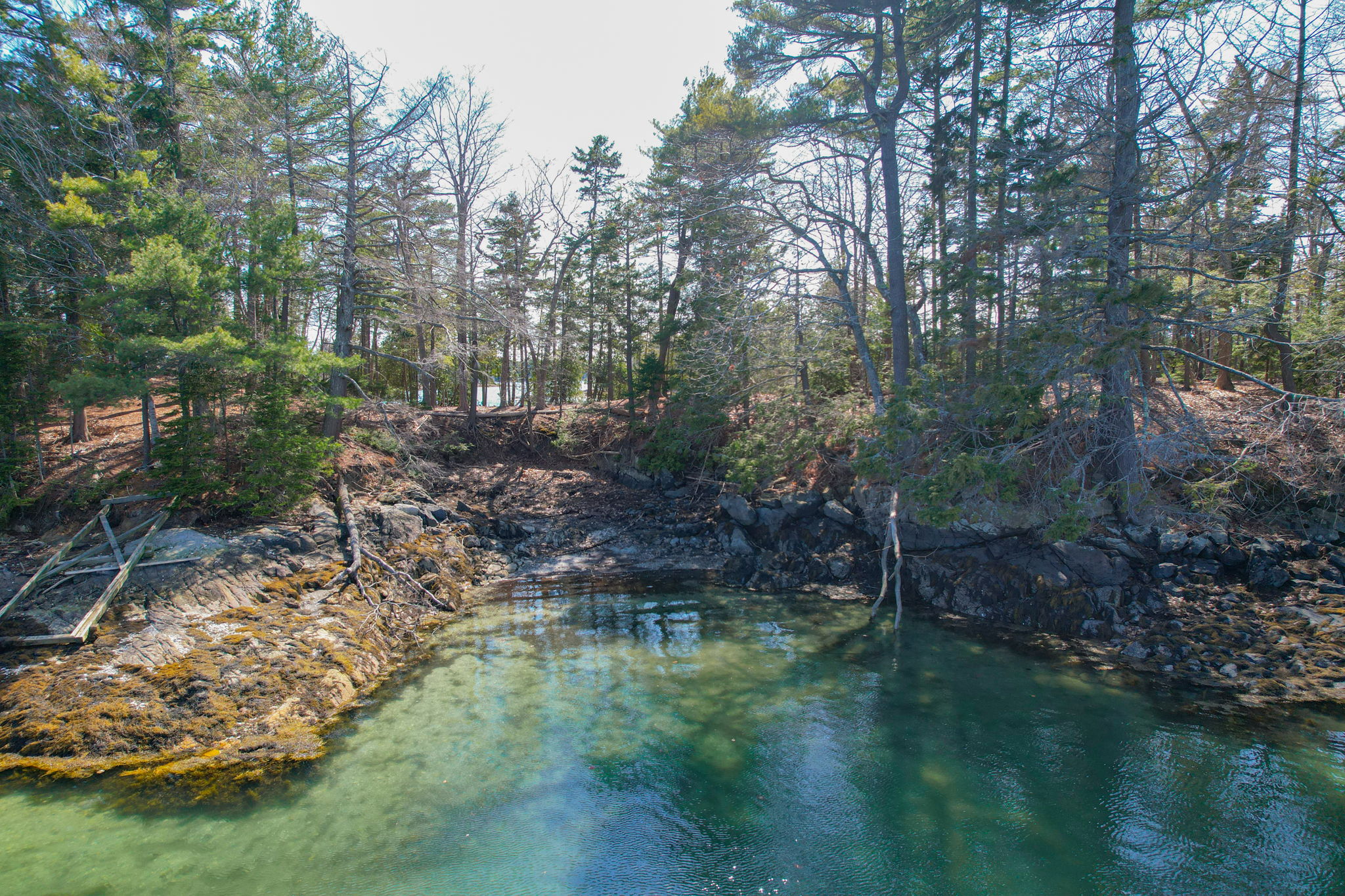 0BenIslandHarpswell-127