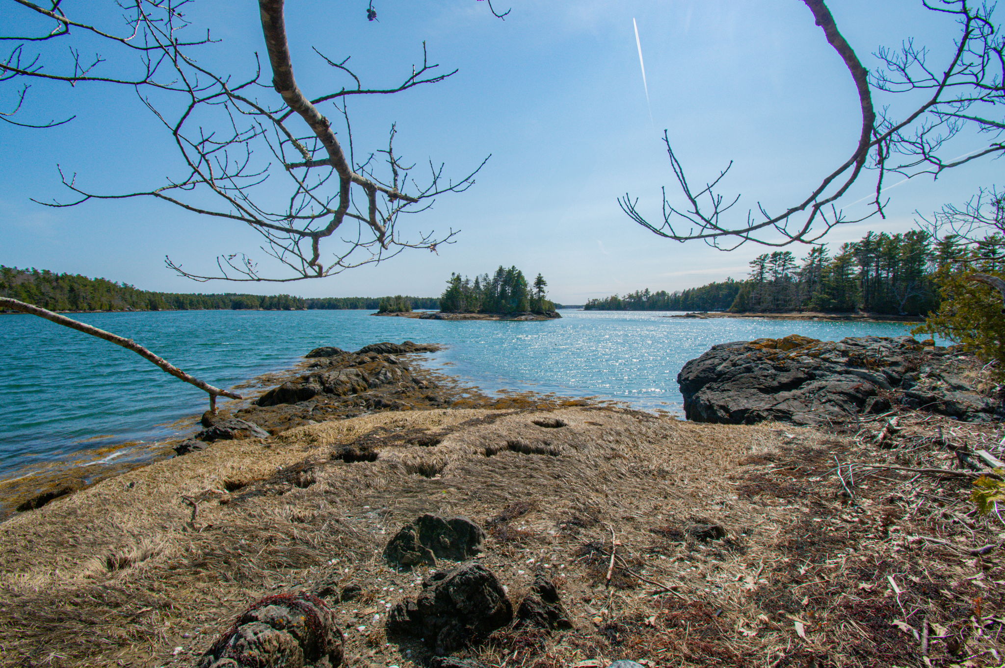 0BenIslandHarpswell-132