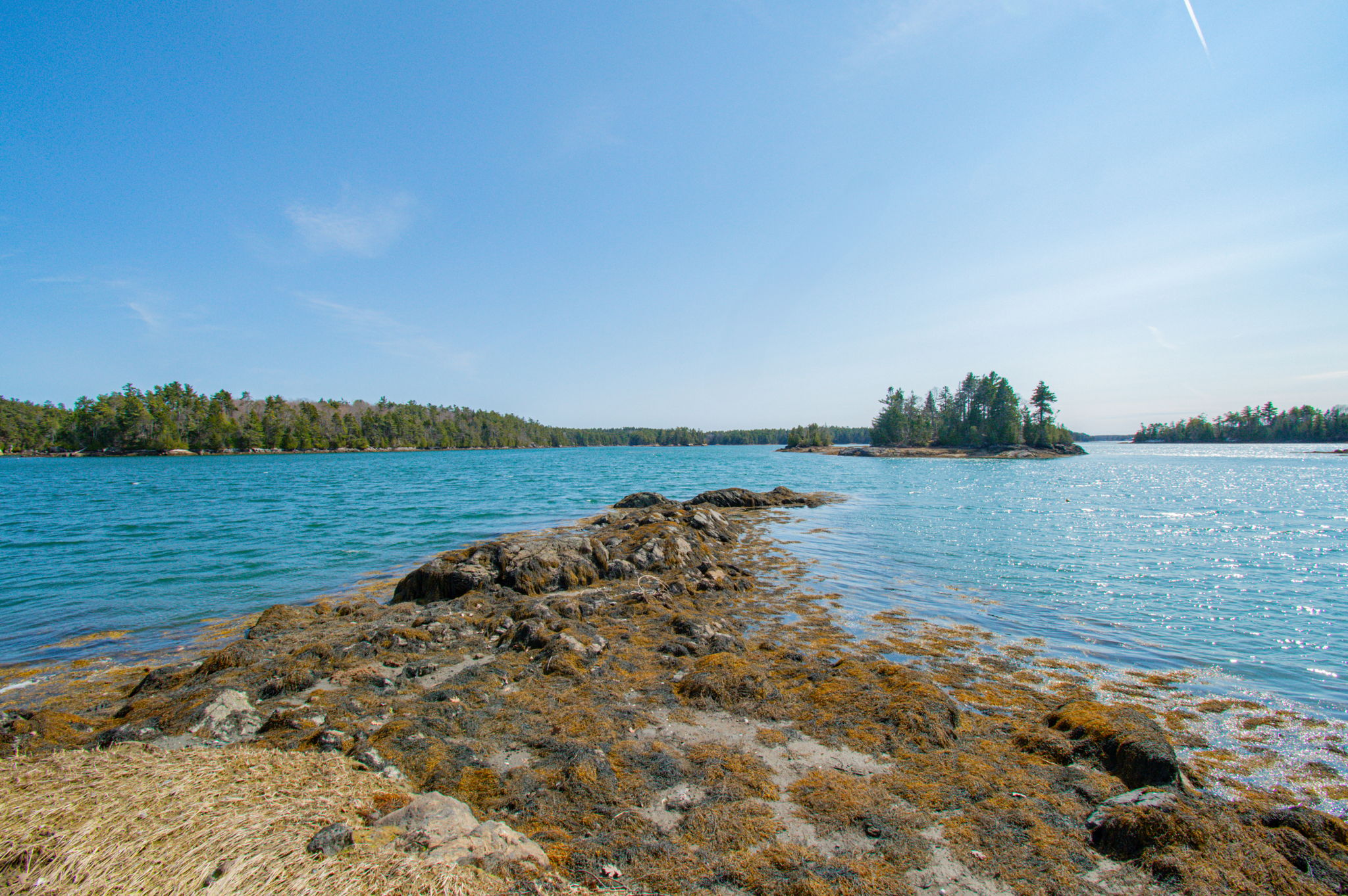 0BenIslandHarpswell-135