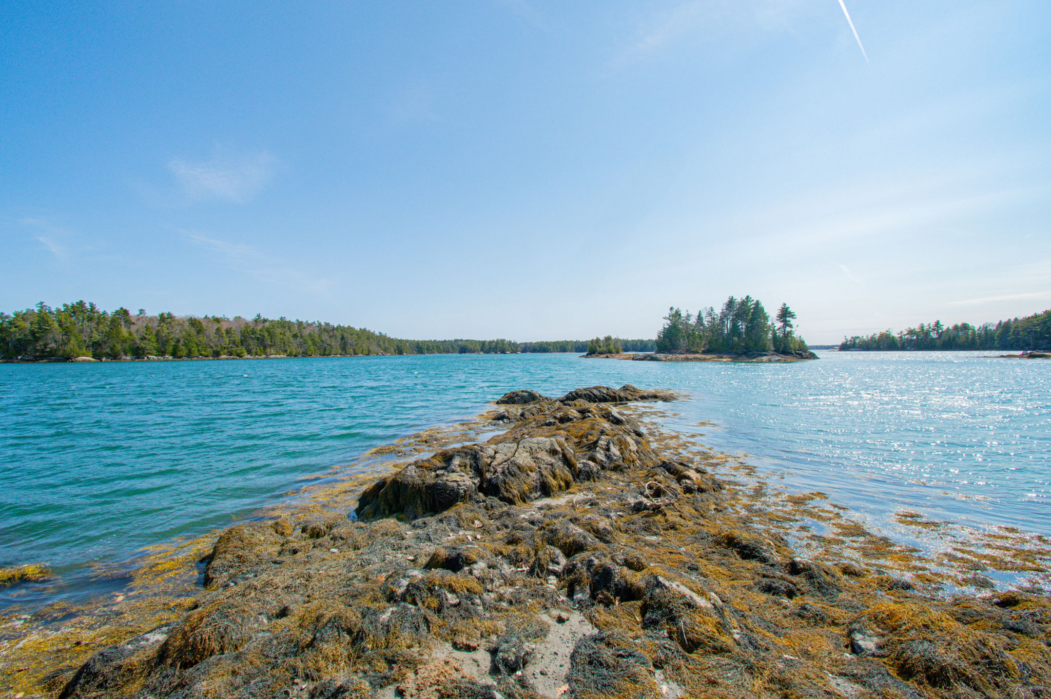 0BenIslandHarpswell-136