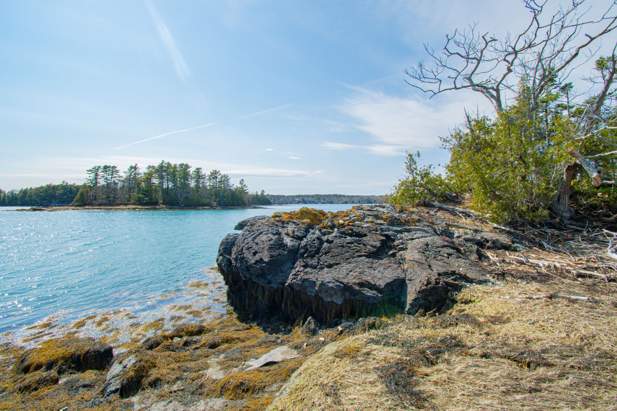 0BenIslandHarpswell-137