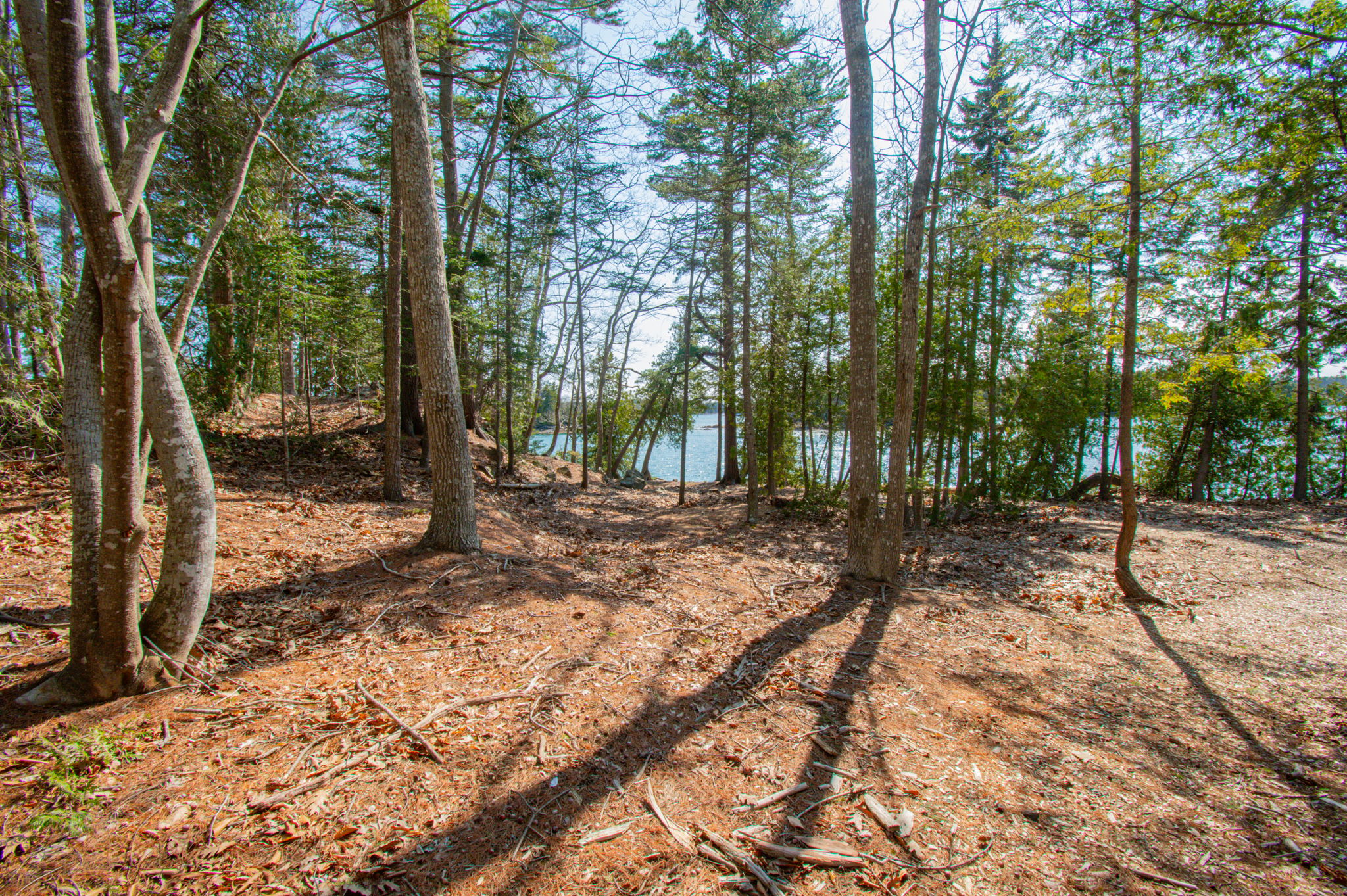 0BenIslandHarpswell-158