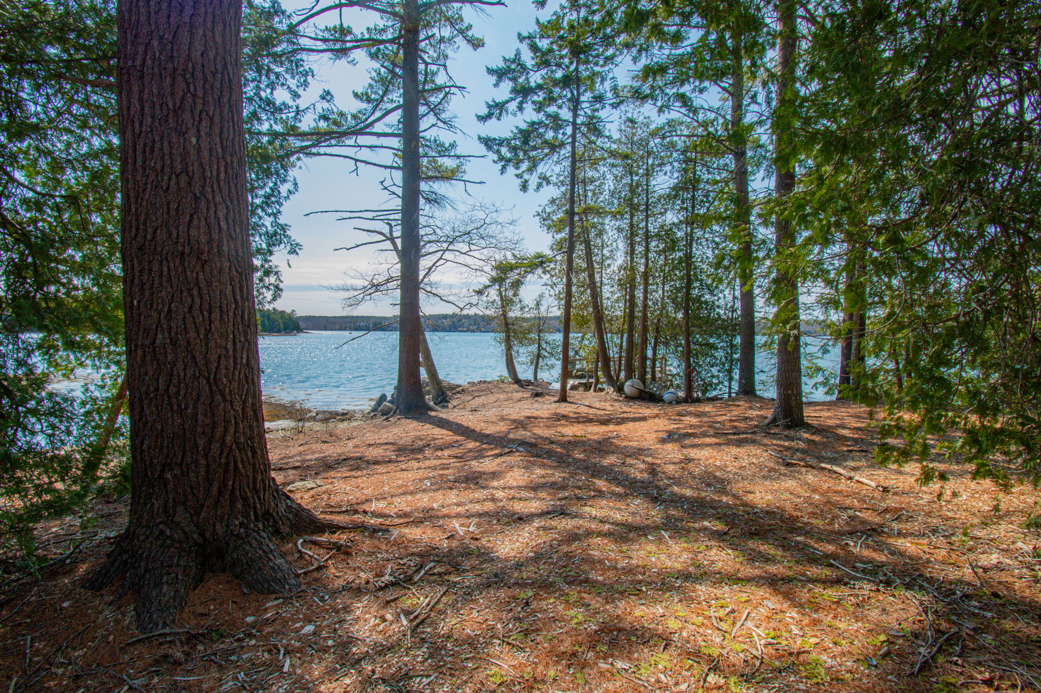 0BenIslandHarpswell-162