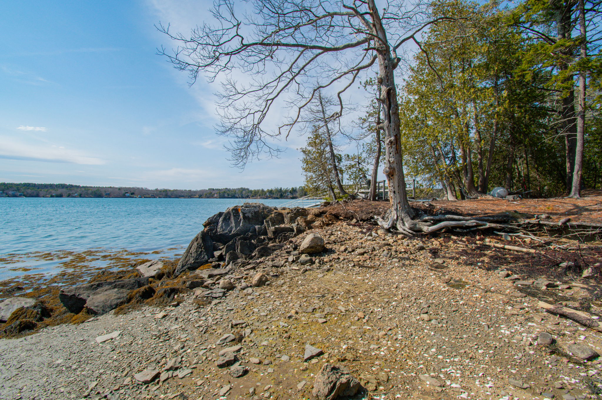 0BenIslandHarpswell-165