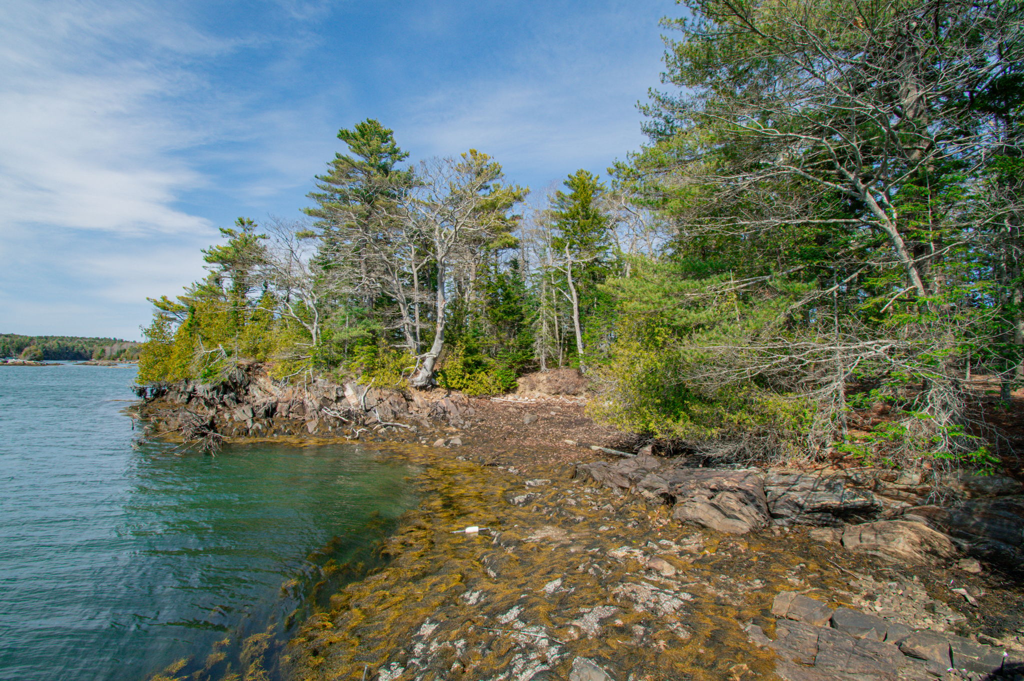 0BenIslandHarpswell-170