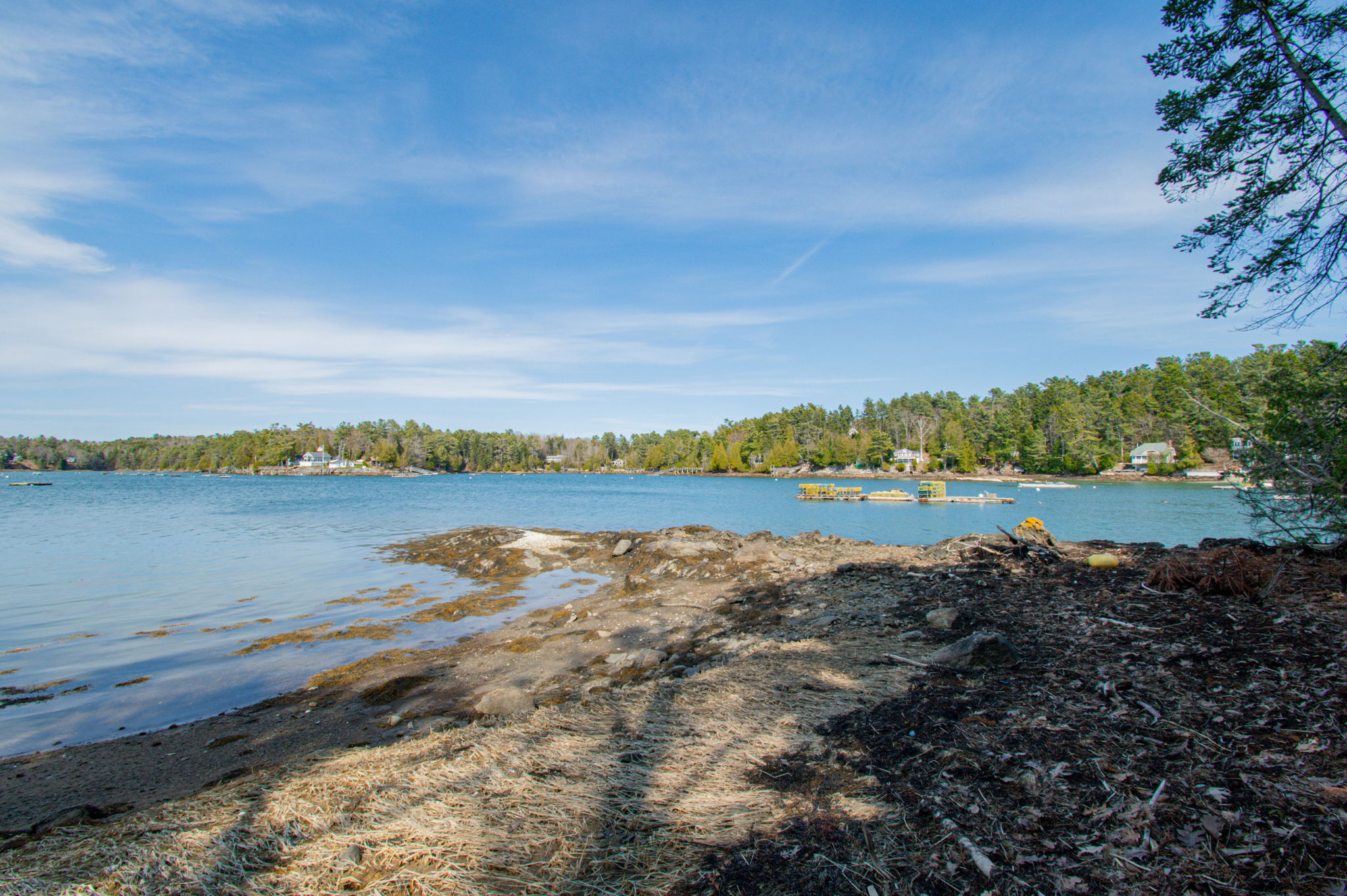 0BenIslandHarpswell-172