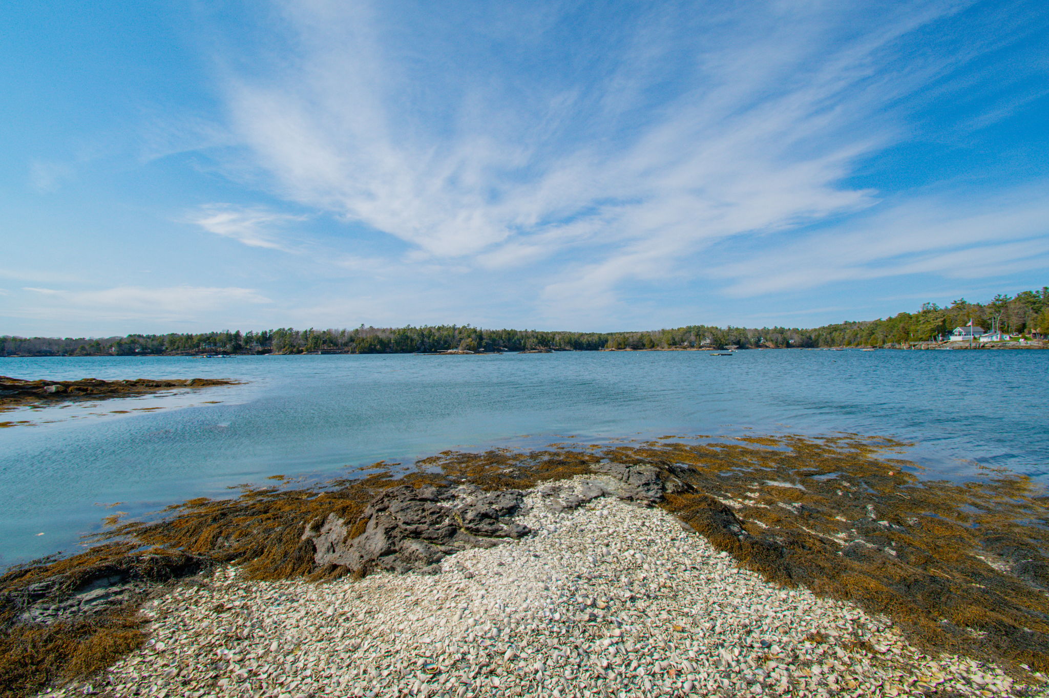 0BenIslandHarpswell-174