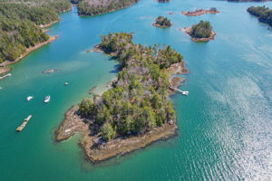 0BenIslandHarpswell-075