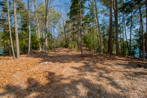 0BenIslandHarpswell-088