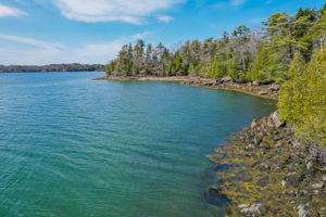 0BenIslandHarpswell-090