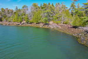 0BenIslandHarpswell-091