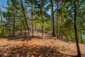0BenIslandHarpswell-093