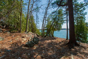0BenIslandHarpswell-098