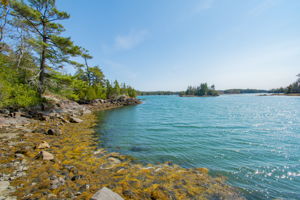 0BenIslandHarpswell-108