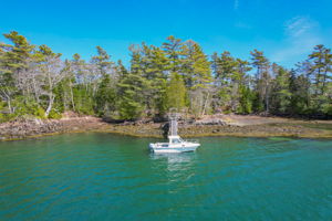 0BenIslandHarpswell-109