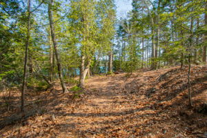 0BenIslandHarpswell-114