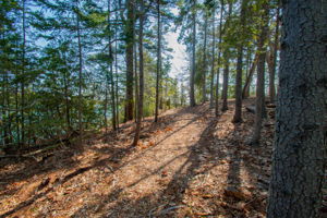 0BenIslandHarpswell-119