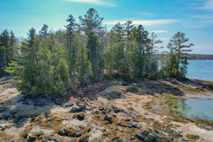 0BenIslandHarpswell-121