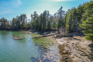 0BenIslandHarpswell-123