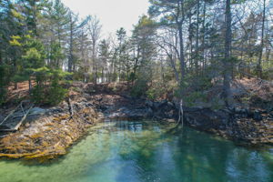 0BenIslandHarpswell-127
