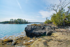 0BenIslandHarpswell-137