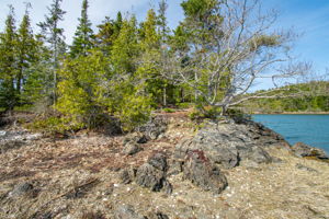 0BenIslandHarpswell-144