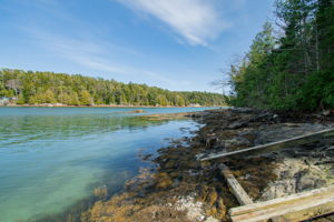 0BenIslandHarpswell-156