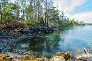 0BenIslandHarpswell-157