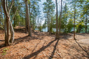 0BenIslandHarpswell-158