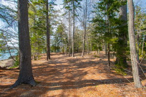 0BenIslandHarpswell-159