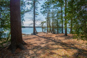 0BenIslandHarpswell-162
