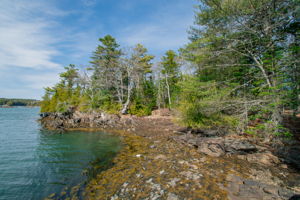 0BenIslandHarpswell-170